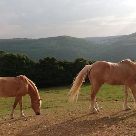 فيرونا B&B Ca Montemezzano المظهر الخارجي الصورة