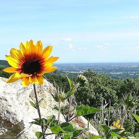 فيرونا B&B Ca Montemezzano المظهر الخارجي الصورة