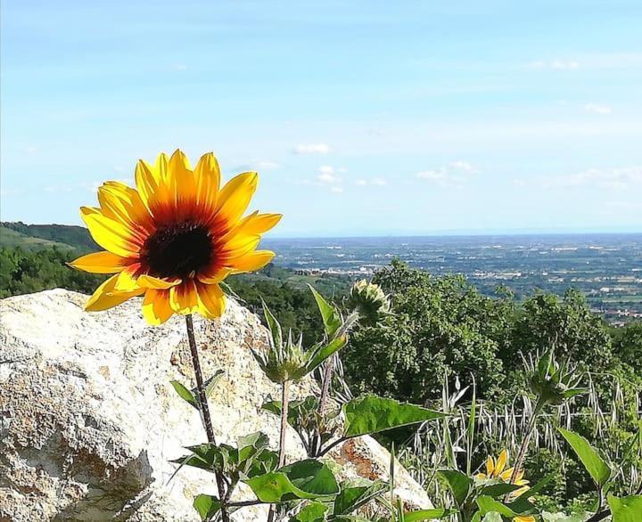 فيرونا B&B Ca Montemezzano المظهر الخارجي الصورة