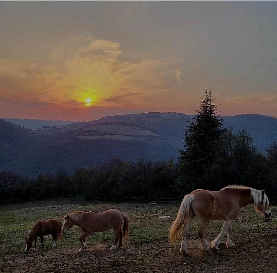 فيرونا B&B Ca Montemezzano المظهر الخارجي الصورة